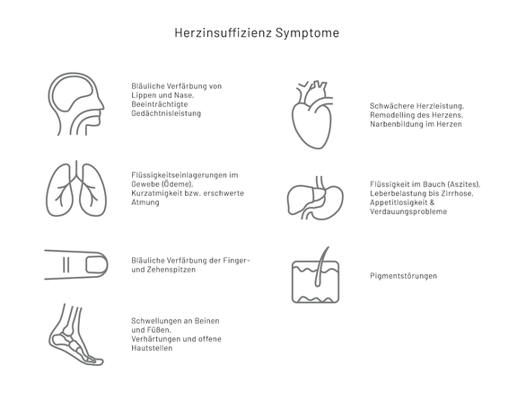 Grafik Herzinsuffizienz Symptome, Herz Lunge im Zentrum - Lungenarzt München
