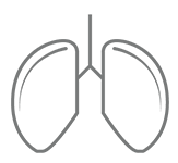 icon-pneumologie-02-herz-lunge-zentrum-muenchen.png 